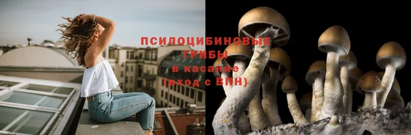 каннабис Белокуриха