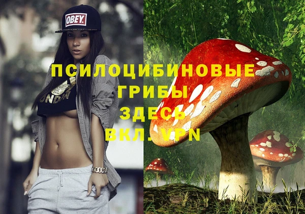 apvp Беломорск