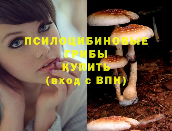 каннабис Белокуриха