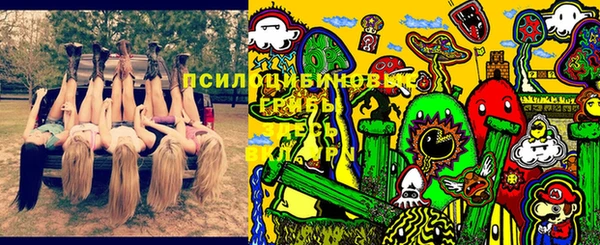 apvp Беломорск