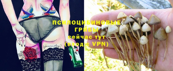 каннабис Белокуриха