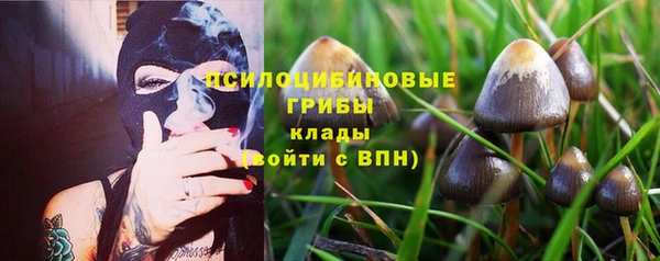 apvp Беломорск